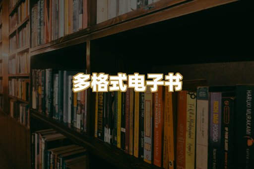 多格式电子书